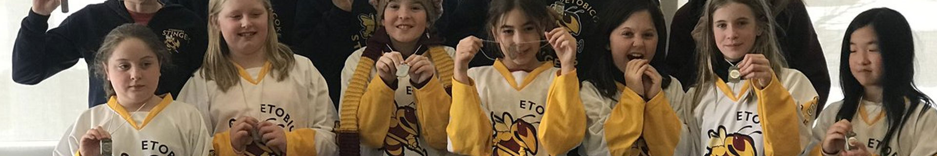 etobicoke stingers